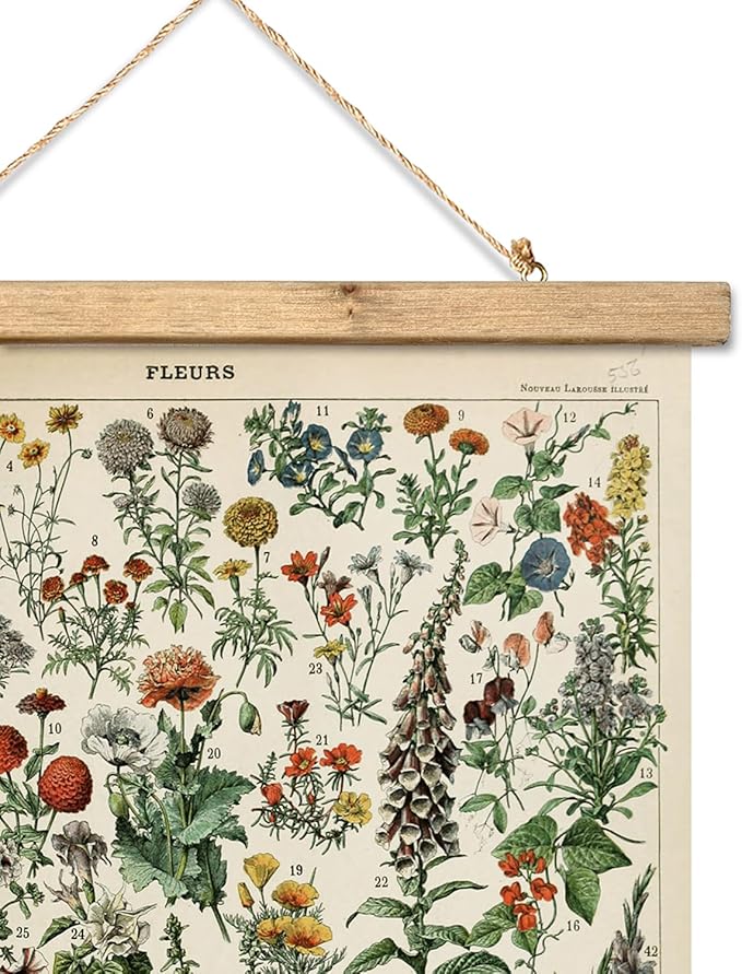 XIAOAIKA Vintage Wildflower Hanging Poster with Wooden Frame, Retro Style Wall Decor Detailed Floral Illustration- Educational Botany Wall Art for Gardeners Home Decor Classroom 20 x 30 Inches