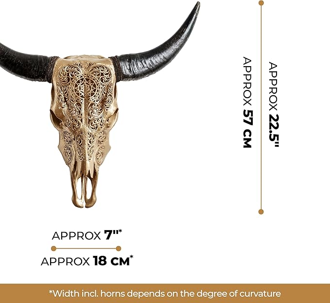 Skull Bliss - Hand-Carved Real Authentic Taxidermy Cow Skull/Bull Skull Wall Decor with Horns/Real Animal Cow Skull Wall Decor (Standard Horns)