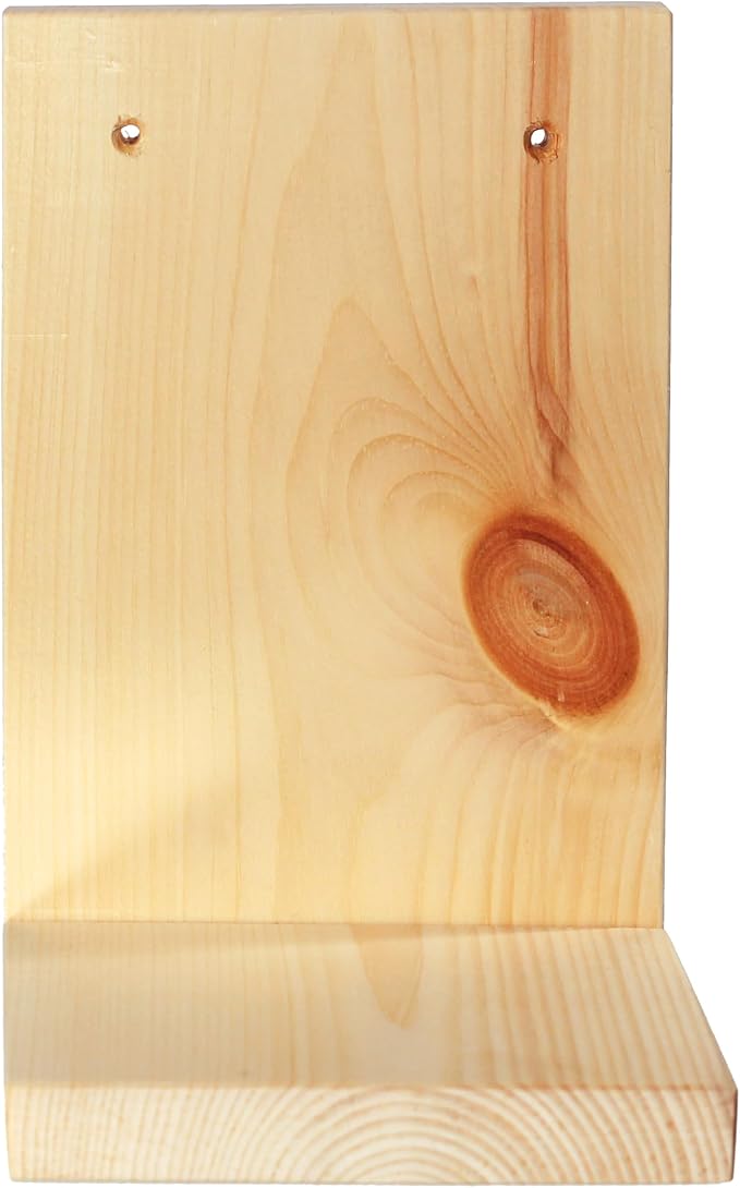 Daniel's Plants Indoor Plant Wall Gallery Shelf Kit | Midcentury Modern Wooden Shelves | Wall Mounted L Shaped Floating Plant Shelves | Solid Wood | 3 Pack (Natural - Unstained)