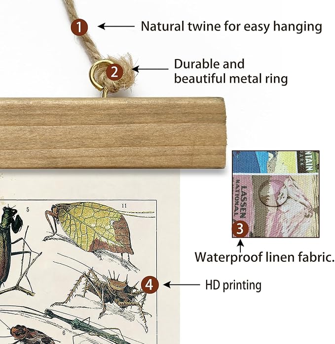 XIAOAIKA Vintage Entomology Poster - Illustrated Insect Species Chart with Wooden Frame - Educational Bug Identification Wall Art for Science Classrooms Home Office 20 x 30 Inches