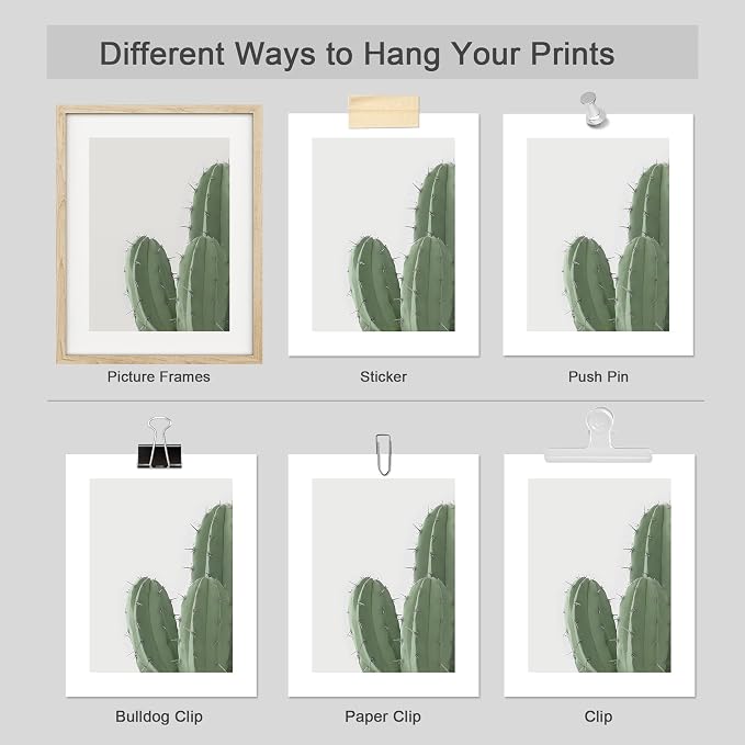 SIGNWIN Adhesive Canvas Poster Green Cactus Snake Plant Collage Desert Landscape Nature Wilderness Photography Realism Decorative Rustic Cozy Zen for Living Room, Bedroom, Office - 8"x10"x 4