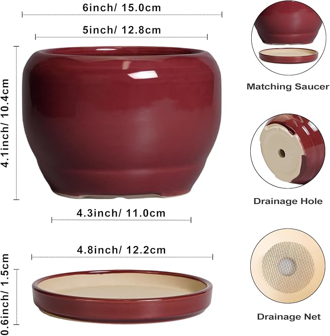 SQOWL 6 Inch Plant Pot - Ceramic Planter for Indoor Plants Outdoor, Round Planter with Drainage Hole and Saucer, Decorative Modern Small Flower Pots, Room Decor, Gifts for Plant Lovers, Red