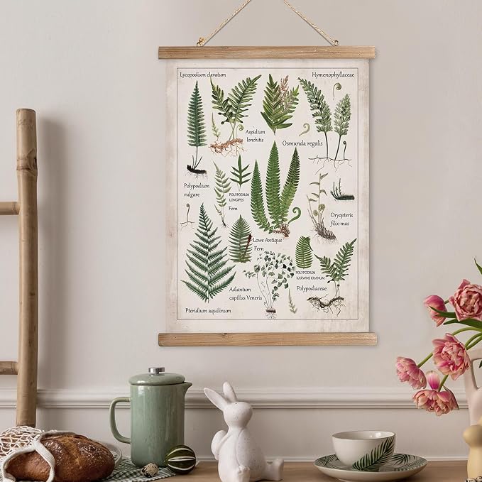 XIAOAIKA Botanical Fern Varieties Poster - Vintage Illustrated Guide with Wooden Frame - Educational Plant Wall Art for Home, Office, or Classroom Decor 20 x 30 Inches