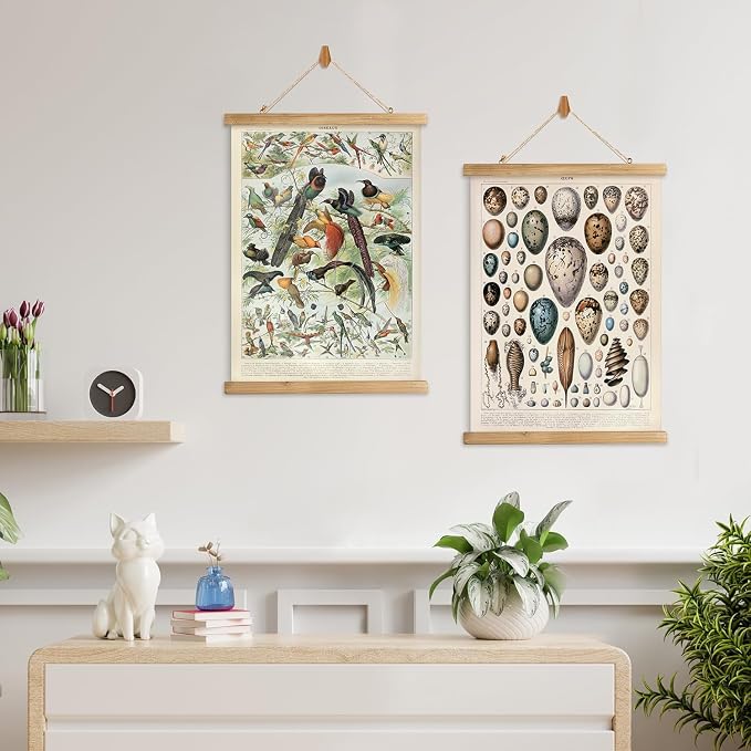 XIAOAIKA 2 Pack Vintage Nature Posters: Bird Species and Bird Eggs - Illustrated Educational Charts with Wooden Frames for Ornithologists, Nature Lovers 16 x 23 Inches