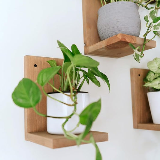 Daniel's Plants 3-Pack Mid-Century Modern L-Shaped Floating Shelves | Solid Wood Plant Ledge | Wall Mounted Shelf Kit (Prairie Sand)