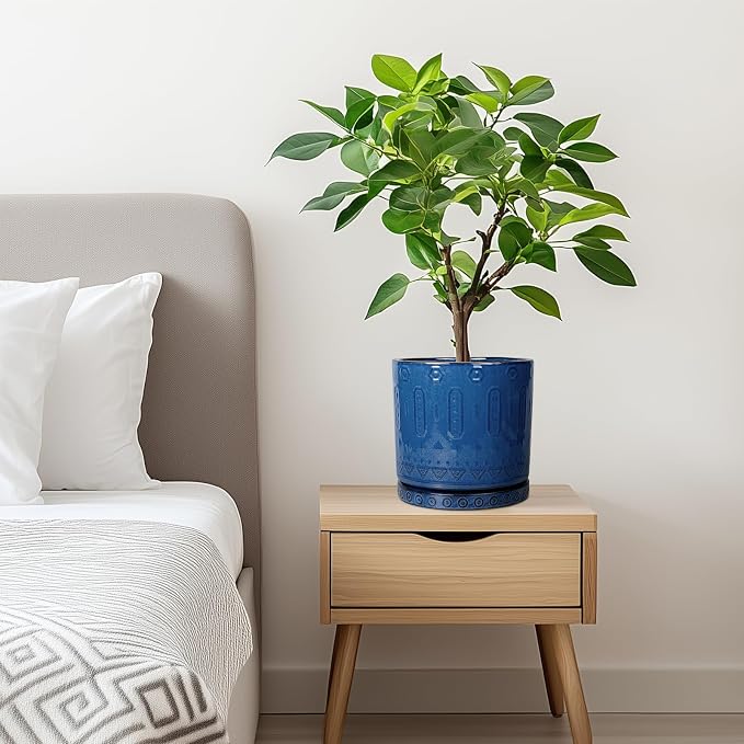 Eightpot 6 Inch Plant Pot - Ceramic Planter for Outdoor Plants Indoor Plant Pot with Drainage Holes and Saucer Succulent Pot Modern Round Flower Pot for House Room Decor Blue