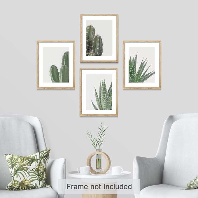 SIGNWIN Adhesive Canvas Poster Green Cactus Snake Plant Collage Desert Landscape Nature Wilderness Photography Realism Decorative Rustic Cozy Zen for Living Room, Bedroom, Office - 12"x16"x4