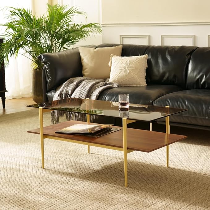 Saint Mossi Tadio Double Layer Glass Coffee Table for Living Room, Brown Glass & Coffee Brown MDF Bottom Shelf | Double Layer, for Living Room, Bottom Shelf