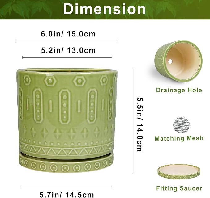 Eightpot Ceramic Flower Pots, 6 Inch Planter for Indoor Plants Outdoor, Round Pots for Plants with Drainage Hole and Tray, Modern Decorative Plant Pot, Bathroom Decor, Green