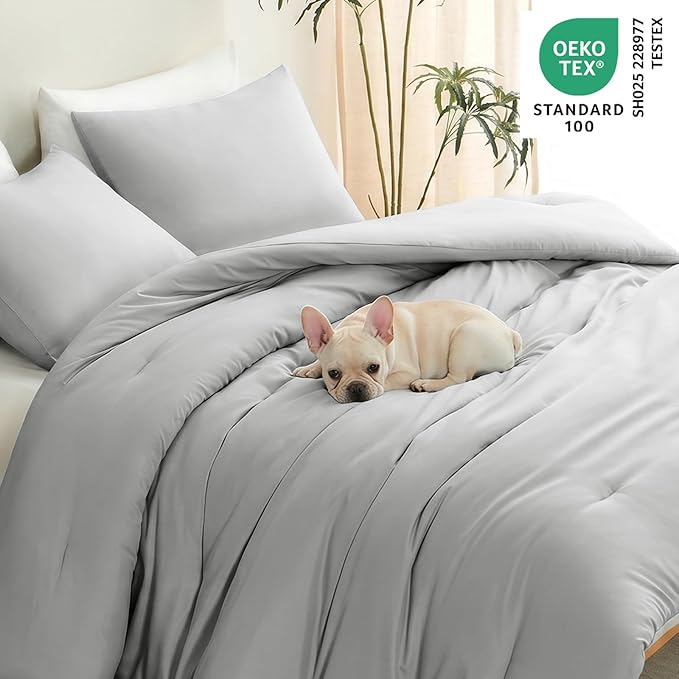 CozyLux Queen Comforter Set Light Grey, 3 Pieces Lightweight Comforters Queen Size Bedding Sets, Light Gray All Season Solid Down Alternative Comforter with 2 Pillowcases, Soft Bed Set Gift for Home