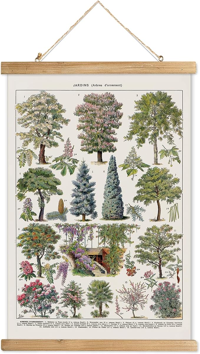 XIAOAIKA Vintage Tree and Shrub Poster - Botanical Educational Retro Wall Art with Wooden Frame for Gardening Enthusiasts and Landscape Designers 16 x 23 Inches