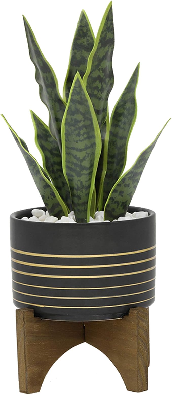 Flora Bunda Mid Century 4.75 inch Ceramic Planter on Wood Stand Great for Succulent Desktop Black/Gold Line