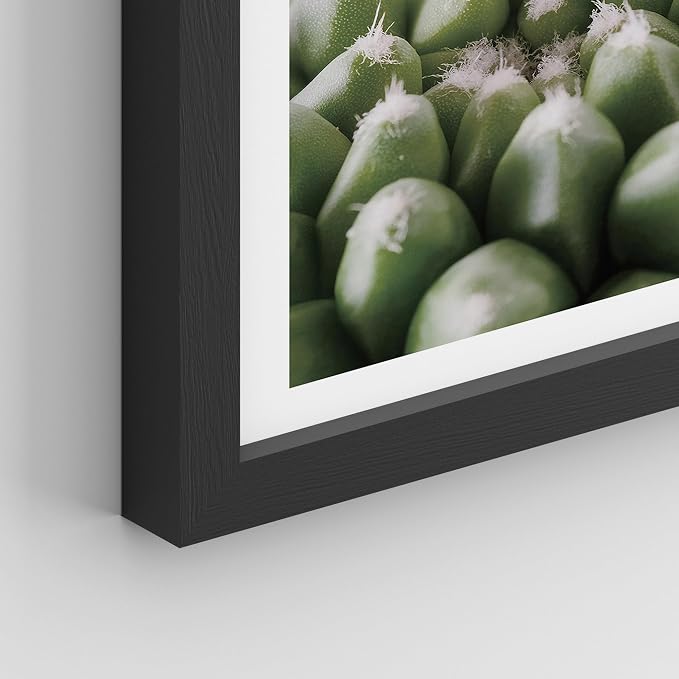SIGNWIN Framed Tropical Island Wall Art, Set of 4 Green Desert Plant Cactus Snake Plant Wall Decor Prints, Nature Wilderness Wall Décor for Living Room, Bedroom - 12"x16" Black