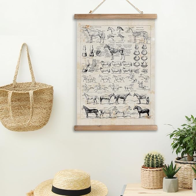 XIAOAIKA Antique-Style Equine Anatomy Chart - Vintage Horse Illustrations Wall Art with Wooden Scroll Frame - Equestrian-Themed Home Decor, Ideal for Horse Lovers and Educators 16 x 23 Inches