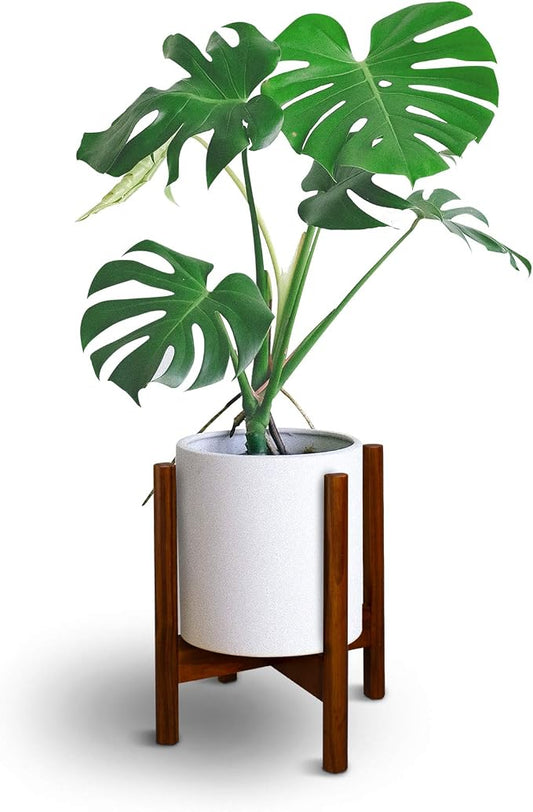 Casual Home Mid-Century Modern, Fit Up to 12", Pot NOT Included Wood Plant Display Stand, Antique Mahogany