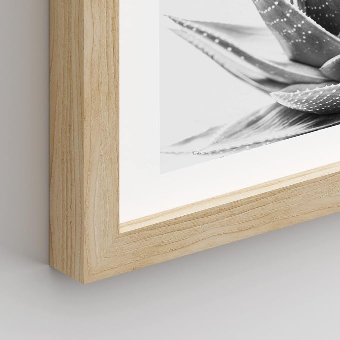 SIGNWIN Framed Black White Snake Plant Agave Cactus Succulent Wall Art, Set of 4 Floral Botanical Wall Decor Prints, Nature Wilderness Wall Décor for Living Room, Bedroom - 11"x14" Natural