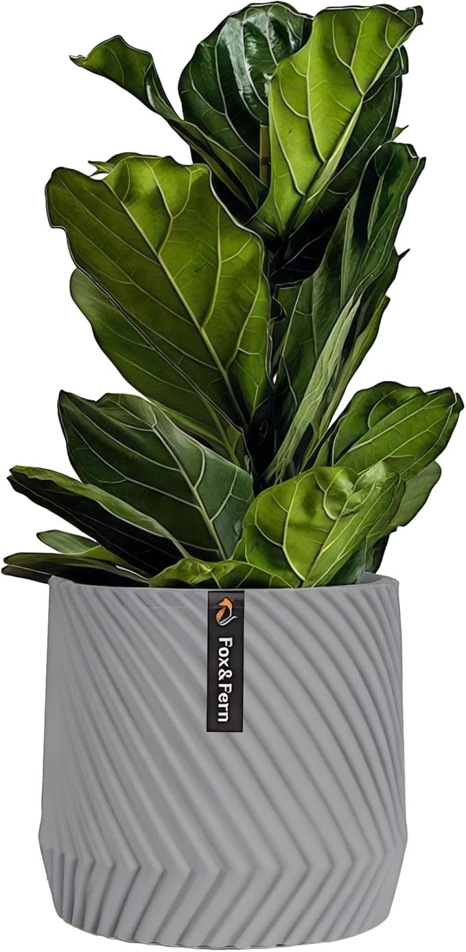 Fox & Fern Large Indoor Planter, Modern Large Plant Pot for Indoor or Outdoor, UV and Frost Resistant - 12 Inch, Polystone, Matte Gray Flower Pot with Drainage Plug, 3D Printed Design