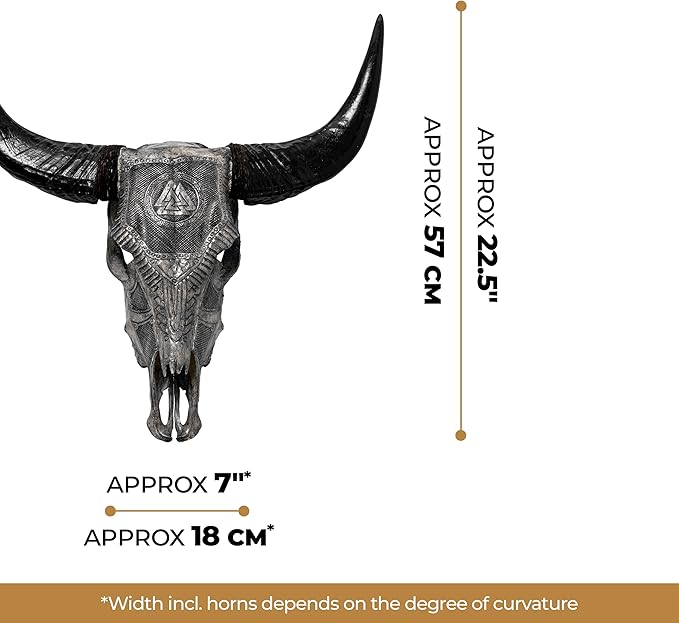 Skull Bliss - Hand-Carved Real Authentic Taxidermy Cow Skull/Bull Skull Wall Decor with Horns/Norse Viking Gift for Men/Real Animal Cow Skull Wall Decor (Standard Horns)
