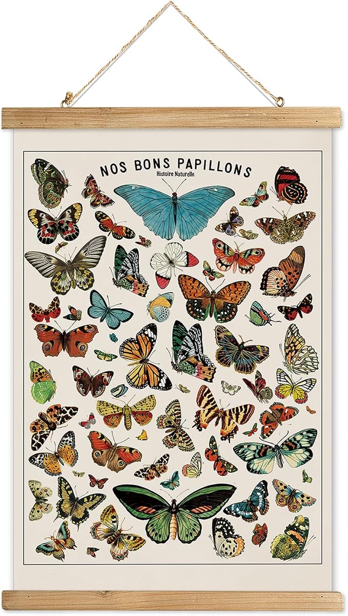 XIAOAIKA Vintage Butterfly Poster with Wooden Frame, Cottagecore Room Decor Aesthetic, Retro Style Wall Decor Art Painting for Nature Lovers, Classrooms, and Home Decor 16 x 23 Inches