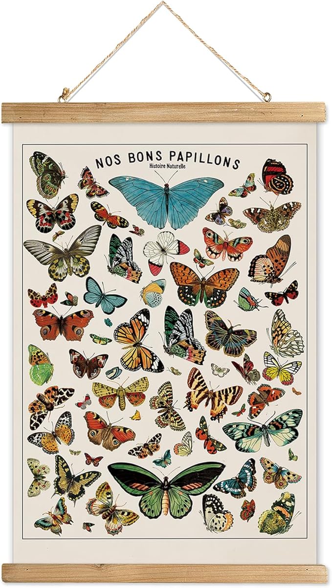 XIAOAIKA Vintage Butterfly Species Poster - Illustrated Educational Chart with Wooden Frame - Entomology Wall Art for Nature Lovers, Classrooms, and Home Decor 20 x 30 Inches