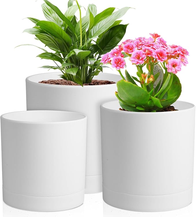 Meowell 6/5/4 inch Flower Pots, Pack of 3 Cylinder Plant Pots for Small Indoor Outdoor Plants, Plastic Planters with Drainage Holes and Saucers for Garden Succulent Nursery House Plants, White
