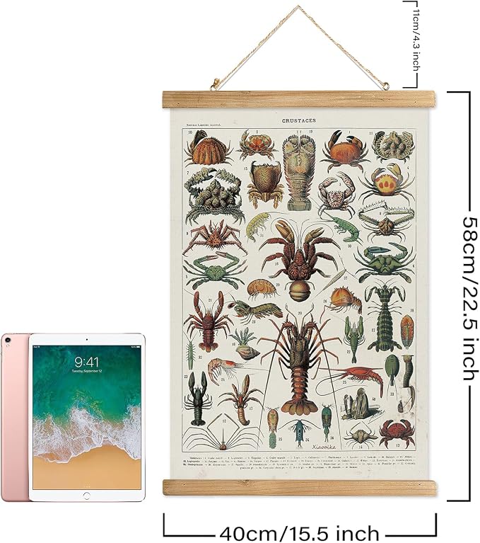 XIAOAIKA Set of 2 Vintage Marine Life and Crustaceans Wall Art Posters - Nautical Ocean Creatures & Seafood Illustration Prints with Wooden Hanger Frames for Home Decor 16 x 23 Inches