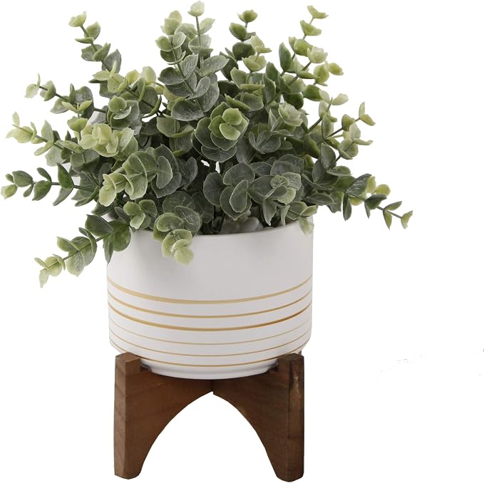 Flora Bunda Mid Century Ceramic Planter on Wood Stand 4.75 inch White with Gold Line for Succulent Desktop Indoor Use 5.5 x 5.5 x 5.75