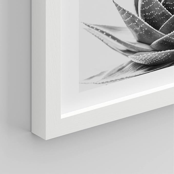SIGNWIN Framed Black White Snake Plant Agave Cactus Succulent Wall Art, Set of 4 Floral Botanical Wall Decor Prints, Nature Wilderness Wall Décor for Living Room, Bedroom - 11"x14" White
