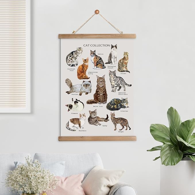 XIAOAIKA Cat Breeds Educational Poster - Illustrated Guide to Popular Feline Varieties with Wooden Scroll Frame - Decorative Wall Art for Cat Lovers and Pet Owners 16 x 23 Inches