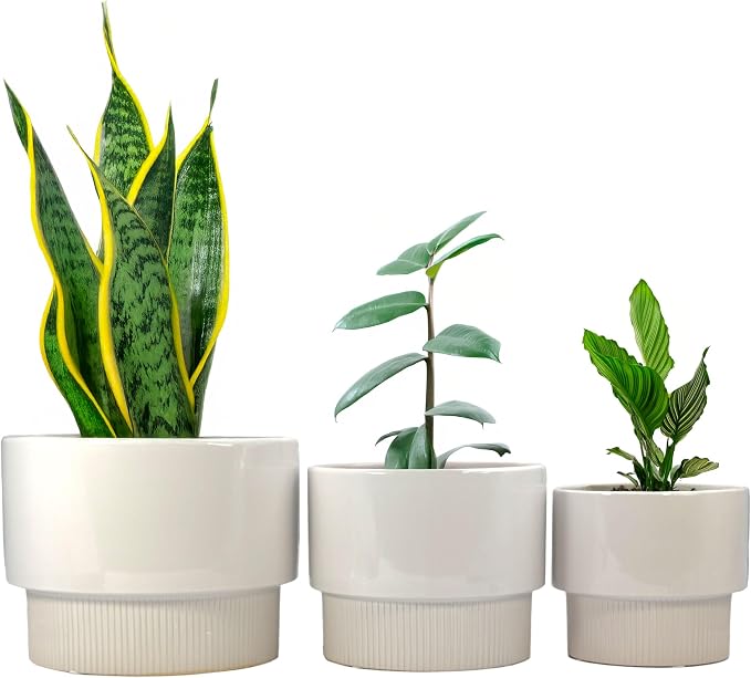 Galt International Set of 3 (8", 10", 12") Mid Century Modern Off White Flat Ribbed Ceramic Planter Pots Flower Pot Indoor House Plants Decor w/Drainage Hole & Plug