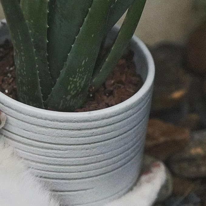 Modern Ceramic Pottery Planter for Indoor Plants, White Minimalist Indoor Planter with Drainage, Contemporary Decorative Pot for Living Room, Office & Shelf Styling