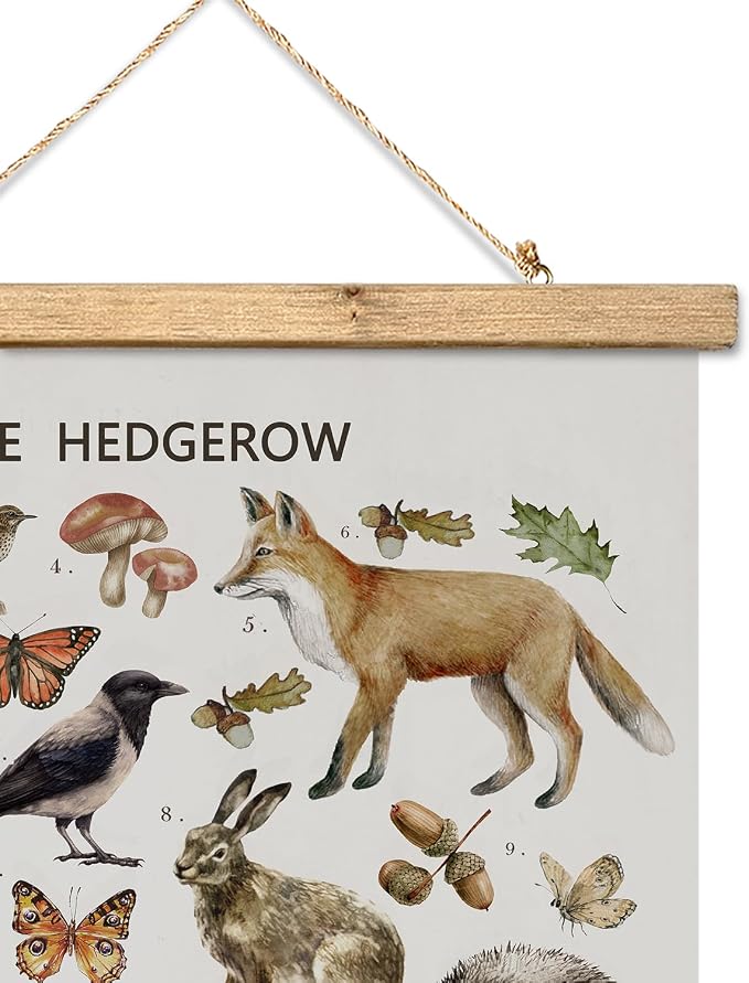 XIAOAIKA British Hedgerow Wildlife Educational Poster - Illustrated Nature Chart with Wooden Frame - Countryside Animals and Plants Wall Art for Home, School, or Nature Reserve Decor 16 x 23 Inches