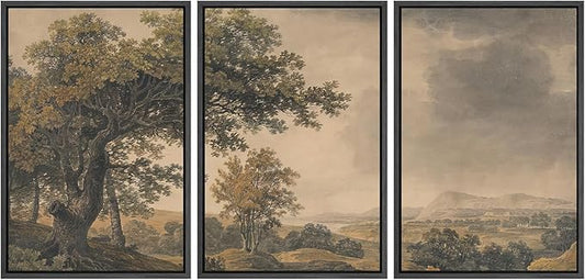 MUDECOR Framed Wall Art Print Set Vintage Landscape Rustic Tree and Mountain View Illustrations Decorative Colorful for Living Room, Bedroom, Office - 16"x24"x3 Black