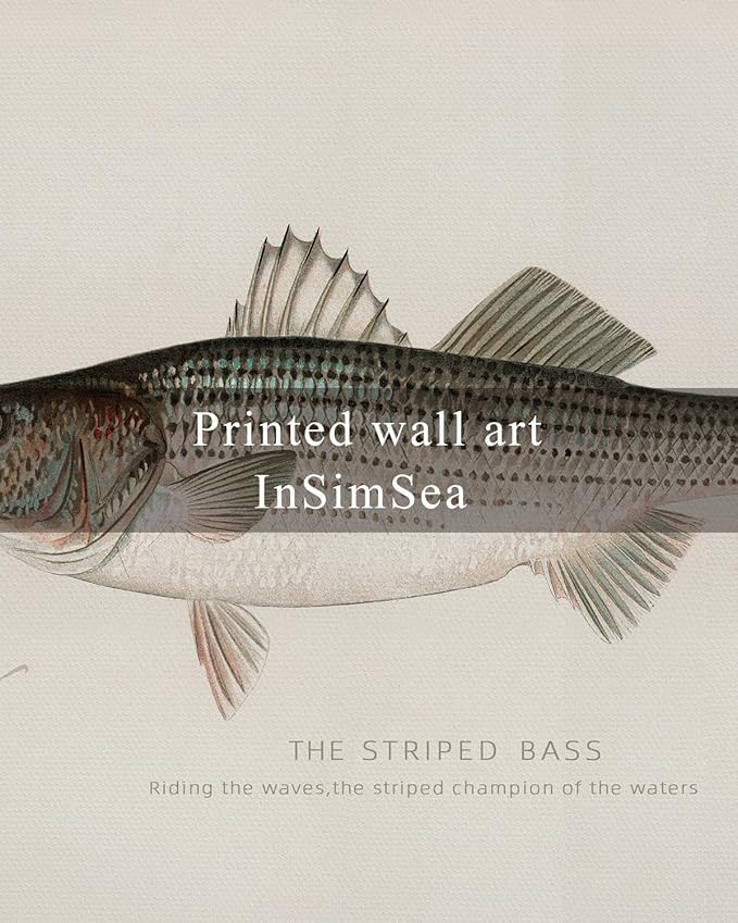 InSimSea Vintage Framed Wall Art for Living Room, Striped bass Canvas Decor, Minimalism Artwork Prints, Animals Oil Painting Wall Decor Gallery Picture, for Bathroom Bedroom Kitchen 10L x 8W