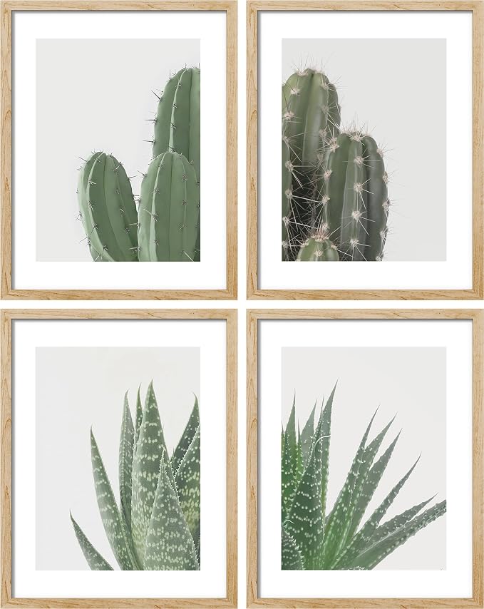SIGNWIN Adhesive Canvas Poster Green Cactus Snake Plant Collage Desert Landscape Nature Wilderness Photography Realism Decorative Rustic Cozy Zen for Living Room, Bedroom, Office - 8"x10"x 4