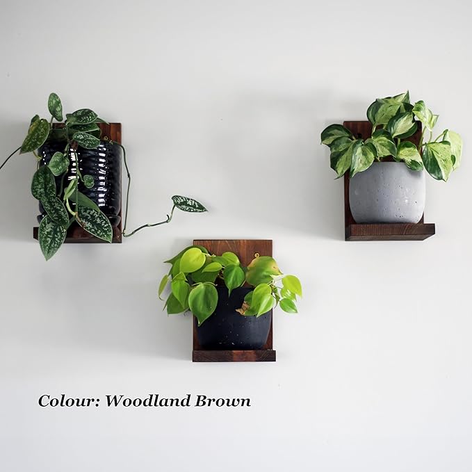 Daniel's Plants 3-Pack Mid-Century Modern L-Shaped Floating Shelves | Solid Wood Plant Wall Shelf Kit | Dusk Grey
