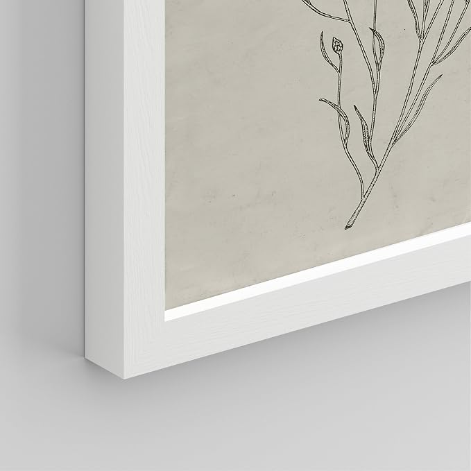 SIGNWIN Framed Vintage Wildflower Wall Art, Set of 4 Plant Collage Drawing Wall Decor Prints, Nature Wilderness Wall D¨¦cor for Living Room, Bedroom - 12"x16" White