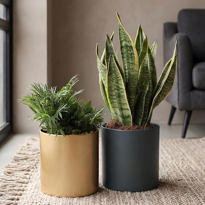 Metal Plant Pot with Drainage Hole,Mid Century Modern 7 inch Round Small Pot Indoor Outdoor Planters Gift for Decorative Pots of Tabletop Living Room Bedroom Grey