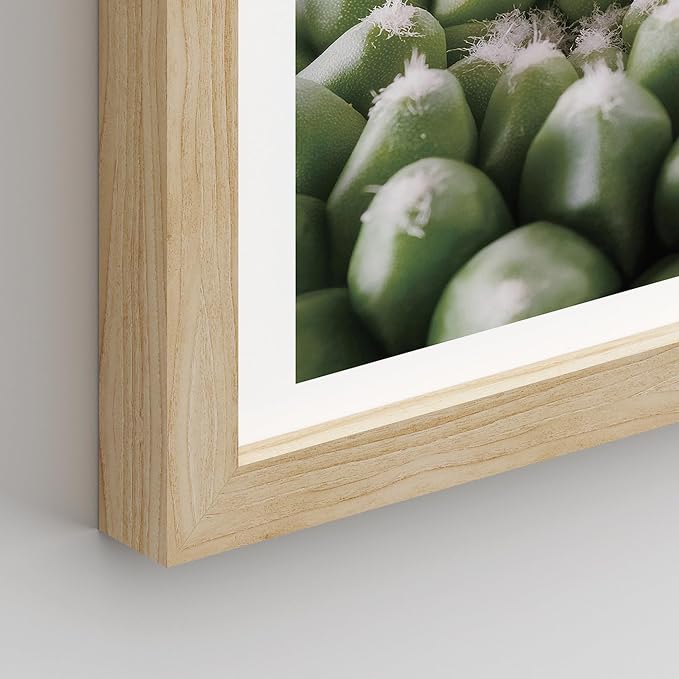 SIGNWIN Framed Tropical Island Wall Art, Set of 4 Green Desert Plant Cactus Snake Plant Wall Decor Prints, Nature Wilderness Wall Décor for Living Room, Bedroom - 8"x10" Natural