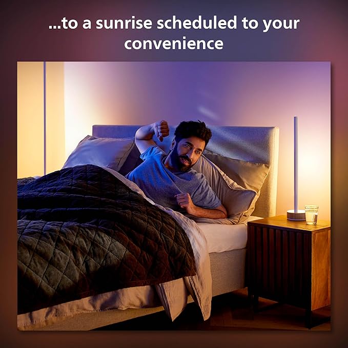 Philips Hue Signe Smart Color Changing Floor Lamp, Oak, White Color Ambiance, 1 Pack, Control with Hue App, LED Floor Lamp Compatible with Alexa, Google Assistant and Apple Homekit