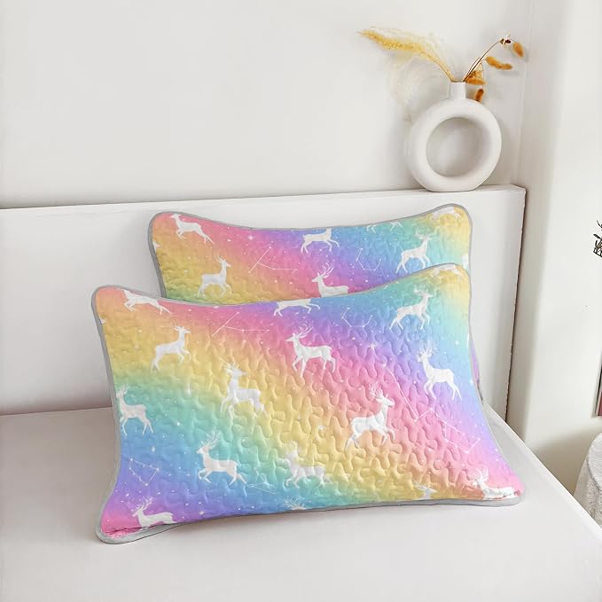AILONEN Multicolored Cosmos Buck King Quilted Comforter Set 3 Piece, Fantasy Sky Bedspread Coverlet with 2 Pillowcases, Luxury Celestial Bedding for Adults