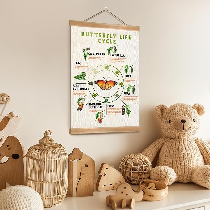 ZTGDA Butterfly Life Cycle Poster Linen Canvas Wall Art with Wooden Frame Educational Nature Chart for Toddler Playroom Classroom Homeschool or Montessori Learning Decor (Butterfly life cycle)