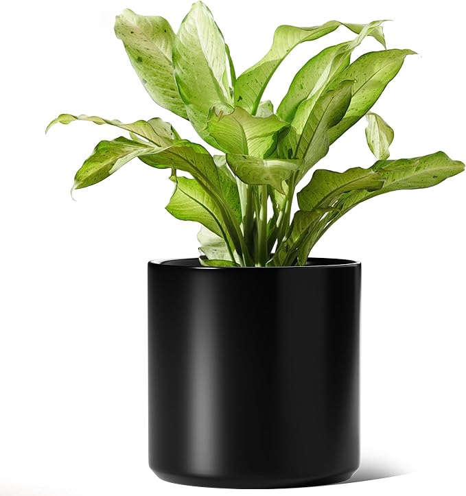LE TAUCI 12 Inch Pot for Plants, Ceramic Planters for Indoor Plants, Mid-Century Modern Cylinder Flower Pots with Drainage Hole, Fits Fiddle Leaf Fig & Monstera, Home Decor, Black