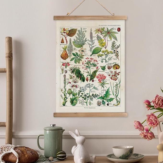 XIAOAIKA Vintage Botany Poster with Wooden Frame, Antique Poisonous Plants Chart - Botanical Educational Art with Dangerous Species - Retro-Style Wall Hanging for Home Classroom Decor 12 x 16 Inches