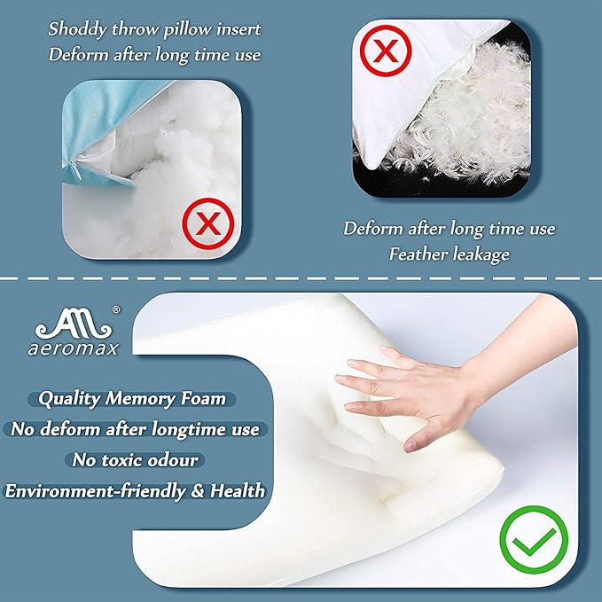 AM AEROMAX 18 × 18 Throw Pillow Memory Foam Pillow Insert - Square Accent Pillow for Decorative Cushion Bed Couch Sofa - Non-Deforming Over Time