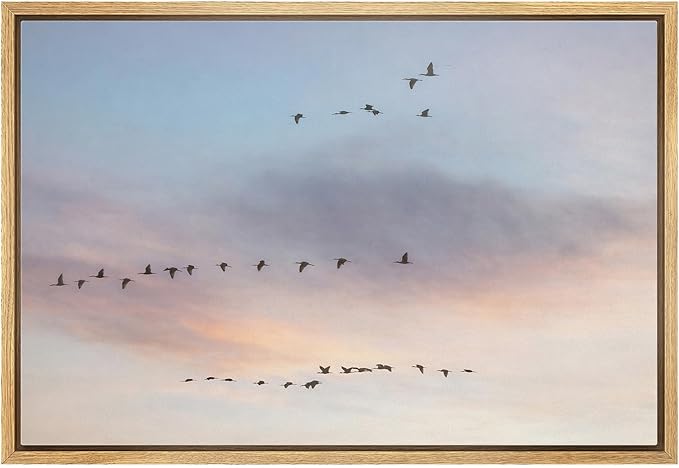 MUDECOR Framed Canvas Print Wall Art Flying Birds in Pastel Sunset Sky Panorama Illustrations Minimalism Decorative Bohemian Zen for Living Room, Bedroom, Office - 24"x36" NATURAL