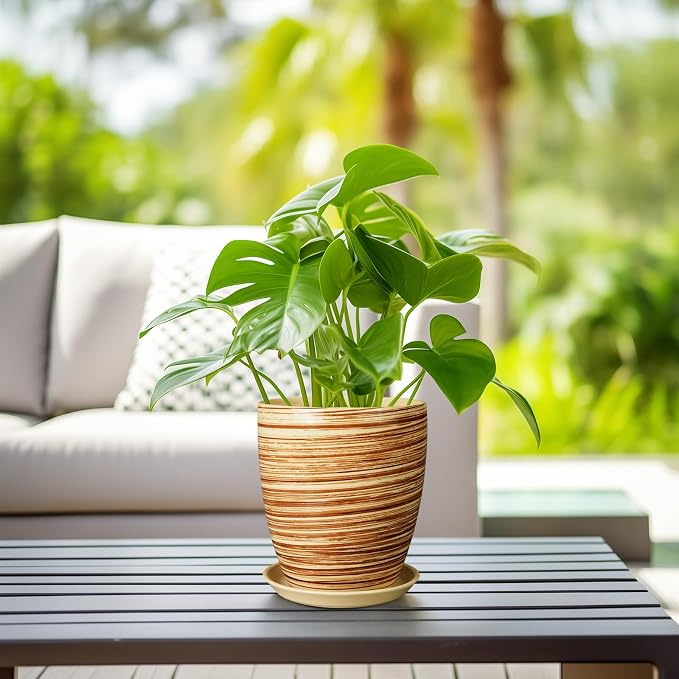 8 Inch Plant Pot, Ceramic Planter with Drainage Hole and Saucer Large Flower Pot for Home Patio Garden Office, Yellow