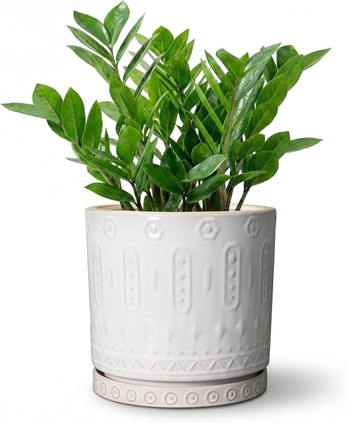 Eightpot 8 Inch Plant Pot, Ceramic Planter for Indoor Plants Outdoor, Round Planter with Drainage Hole and Tray, Boho Flower Pot, Decorative Pots for Plants, Home Decor, Plant Lover Gifts, White