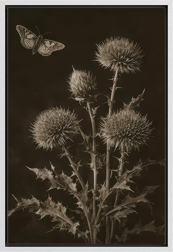 Woodrose Framed Canvas Print Wall Art Sepia Botanical Thistle with Butterfly Vintage Illustrations Modern Art Minimalist 3D Colorful Ultra for Living Room, Bedroom, Office - 16"x24" WHITE