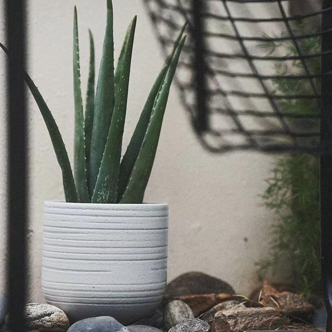 Modern Ceramic Pottery Planter for Indoor Plants, White Minimalist Indoor Planter with Drainage, Contemporary Decorative Pot for Living Room, Office & Shelf Styling